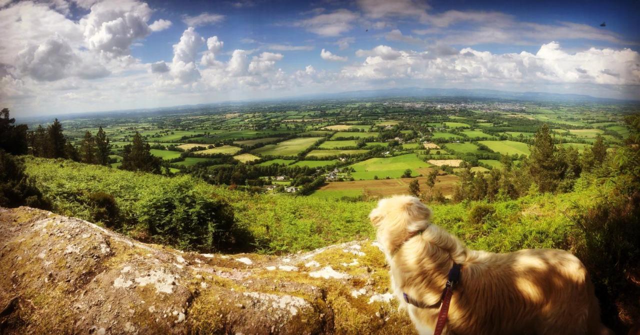 Ballyglass Country House Tipperary Eksteriør bilde